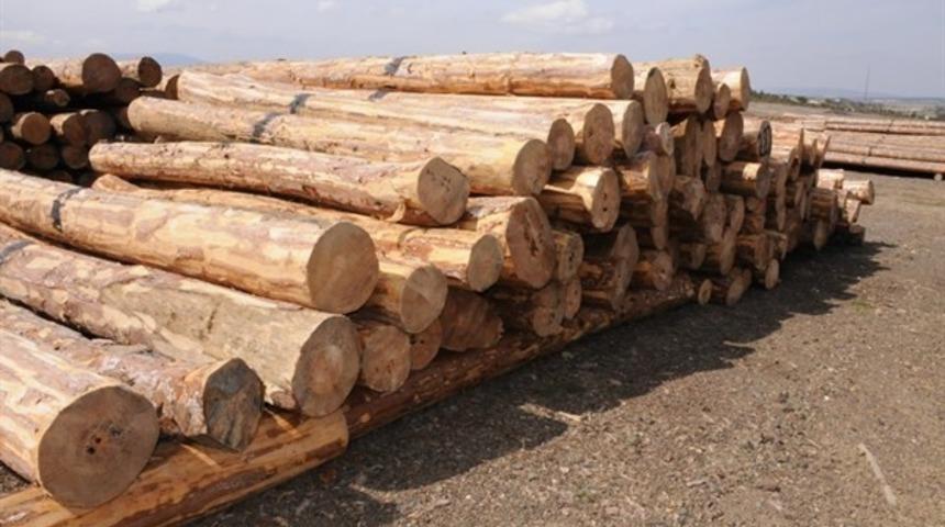 K&uuml;tahya Orman B&ouml;lge M&uuml;d&uuml;rl&uuml;ğ&uuml;&rsquo;nde &rsquo;E-Satış&rsquo; uygulaması