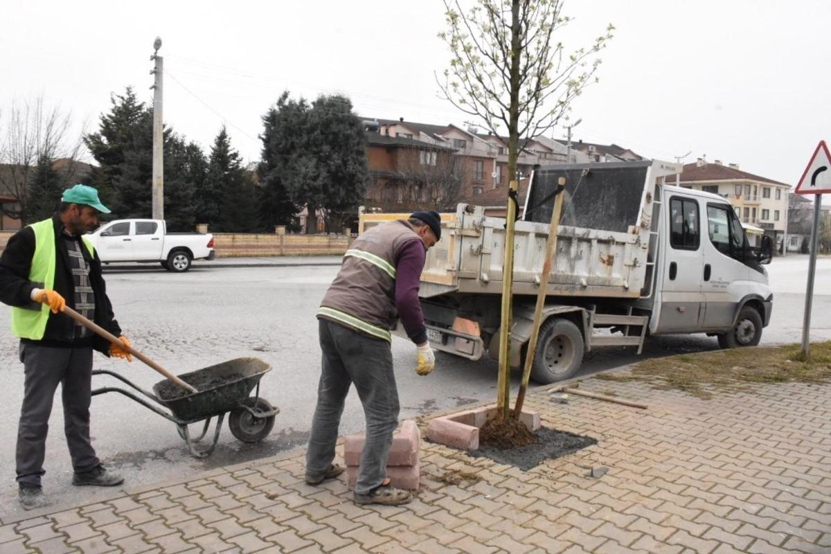 D&uuml;zce mis gibi kokacak