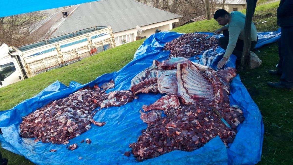 Şemdinli&rsquo;de 4 b&uuml;y&uuml;kbaş hayvan belaların def edilmesi i&ccedil;in kesildi