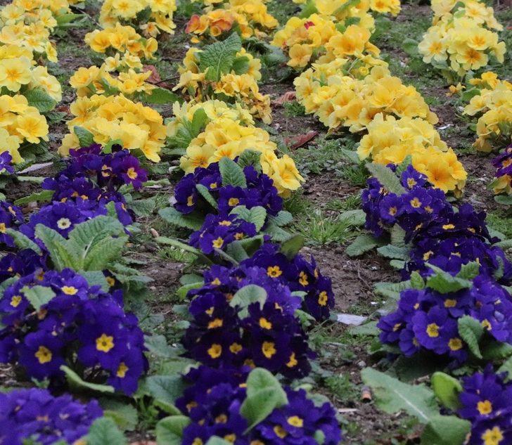 Samsun’da refüjler kadın eliyle güzelleşiyor G4