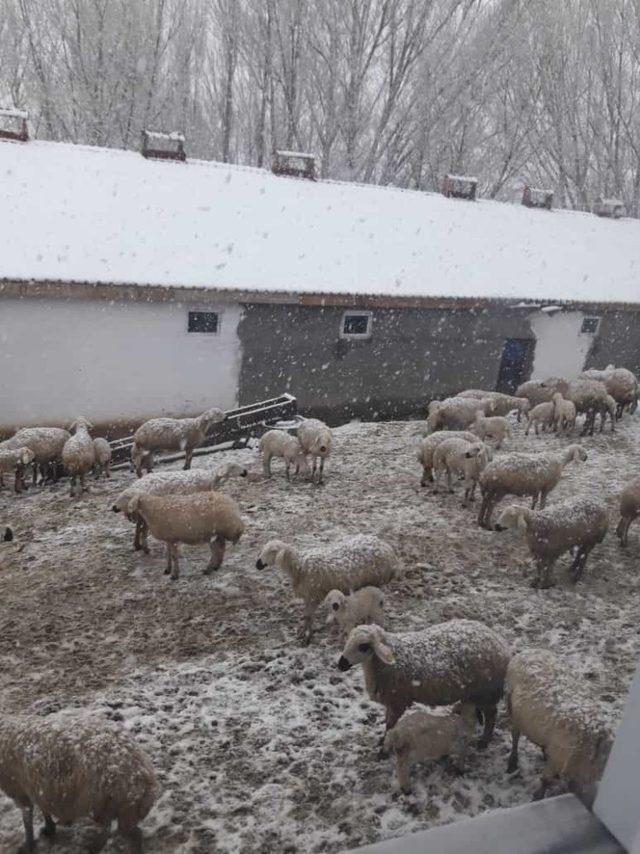 Mart karı beyaza bürüdü