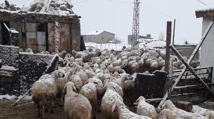 Sivas’ın Ulaş ilçesinde yoğun kar yağışı