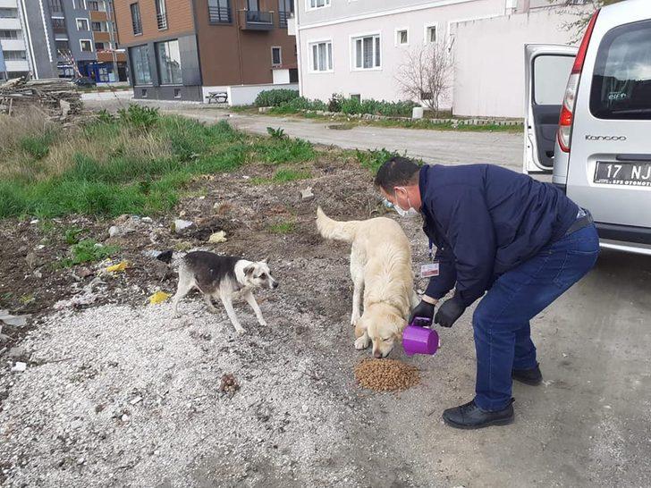Lapseki’de sokak hayvanları unutulmadı G5