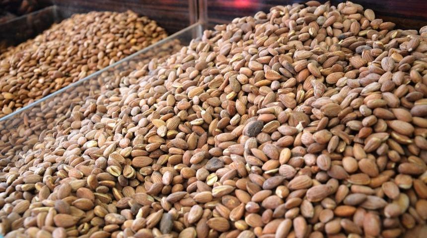 Korona vir&uuml;s tedavileri i&ccedil;erisinde kayısı &ccedil;ekirdekleri de bulunuyor