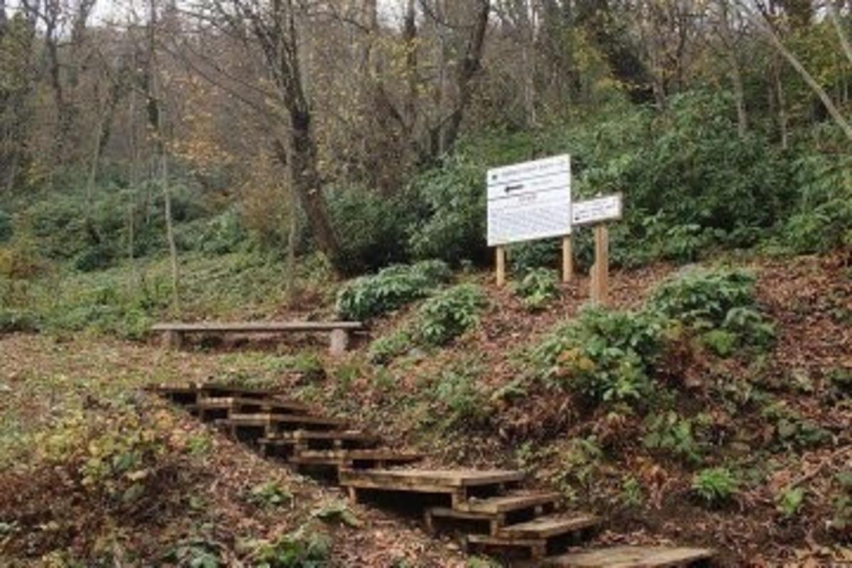 Tabiat parklarına vir&uuml;s engeli