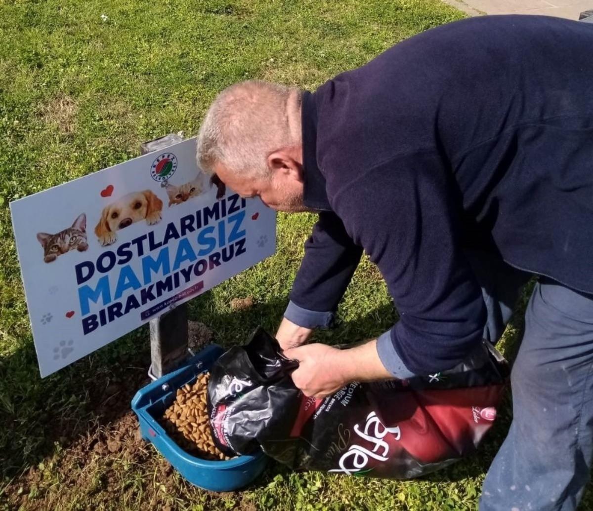 Kepez&rsquo;da mama ve su kaplarının sayısı artırıldı