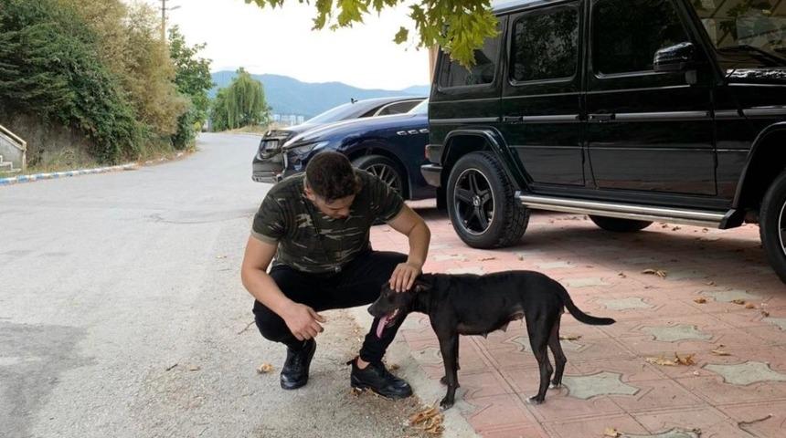 Tan Sipahi: "Korona vir&uuml;s sokaktaki canlarımızı da etkiliyor"