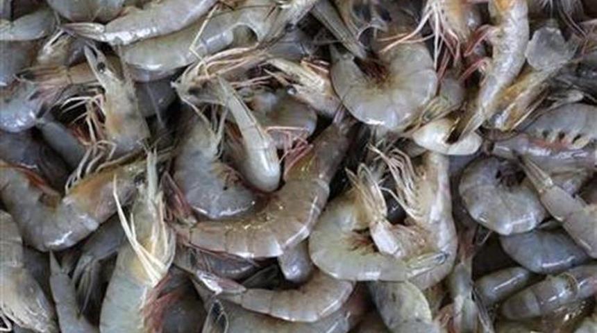 Dünyadaki 'ilk koronavirüs vakası' o kişi mi?