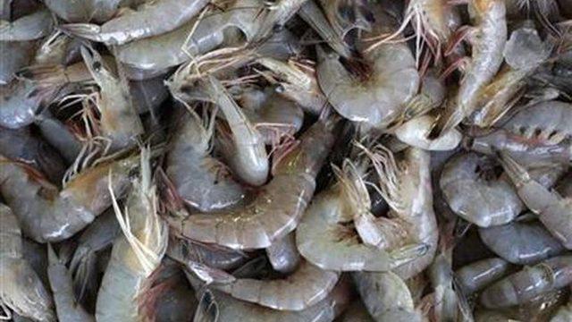 Dünyadaki 'ilk koronavirüs vakası' o kişi mi?