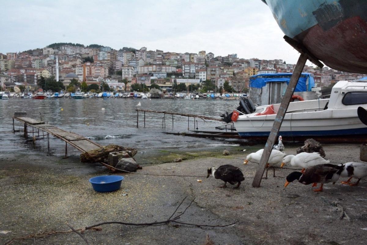 Destek istediği &ouml;rdeklerin bakımını belediye yapıyor
