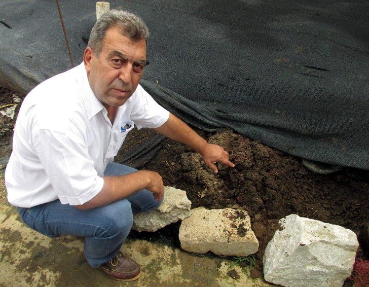 Solucan gübresi altın kadar değerli G2