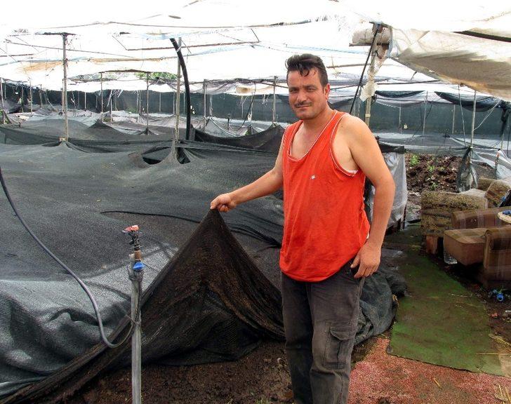 Solucan gübresi altın kadar değerli G3