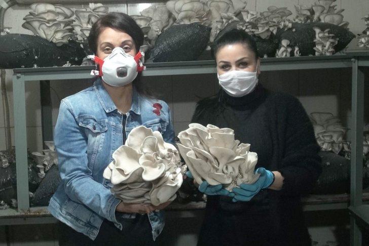 Tarsus’ta kursiyerlerin ürettiği istiridye mantarı hasat edildi G3