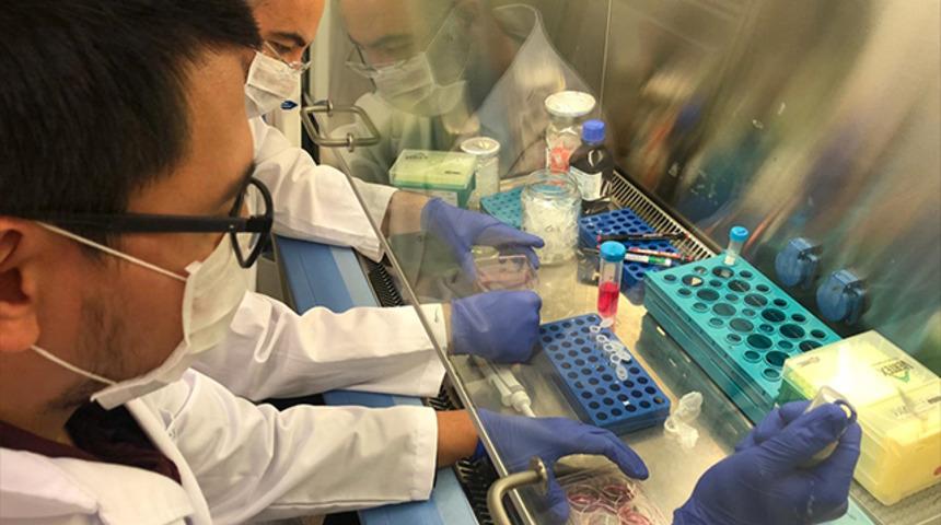 Türk bilim insanı açıkladı: Koronavirüse karşı etkili olacak
