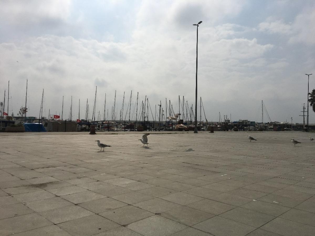 Vatandaş evinden &ccedil;ıkmadı, sahiller martılara kaldı