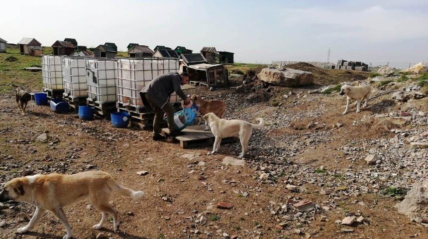 Dilovası&rsquo;nda sokak hayvanları unutulmuyor