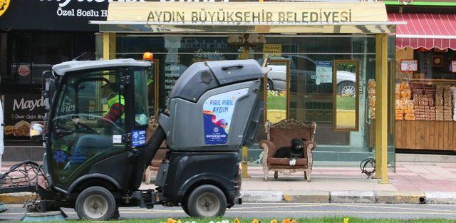 Duraktaki koltuğu kendisine yuva yaptı