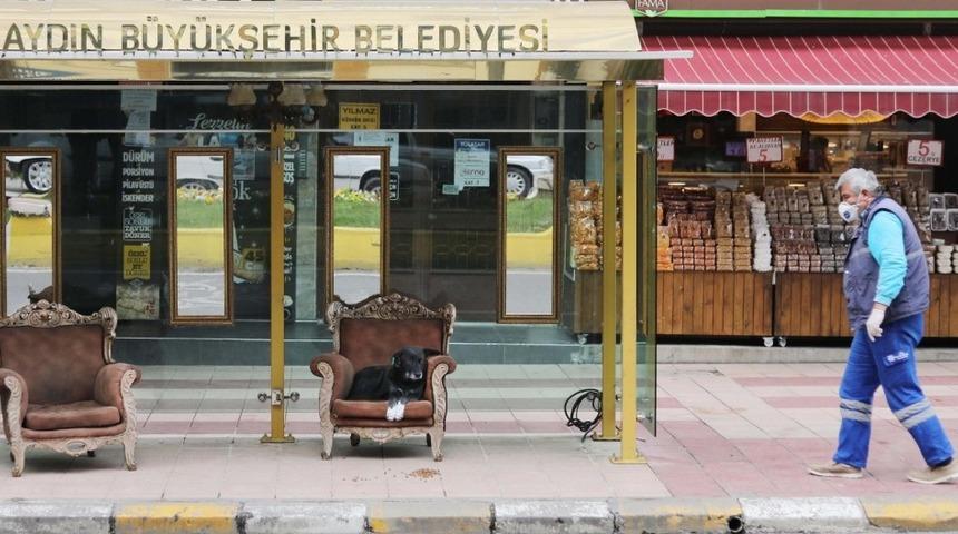 Duraktaki koltuğu kendisine yuva yaptı