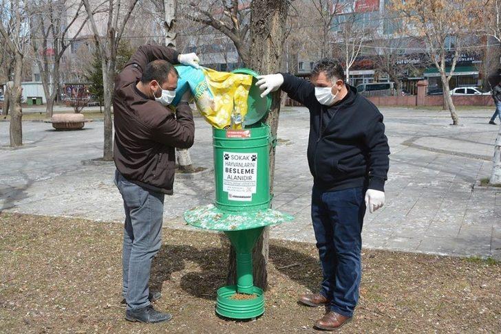 Ardahan Belediyesi sokak hayvanlarını unutmadı G1