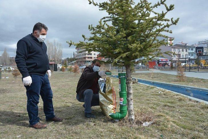 Ardahan Belediyesi sokak hayvanlarını unutmadı G2