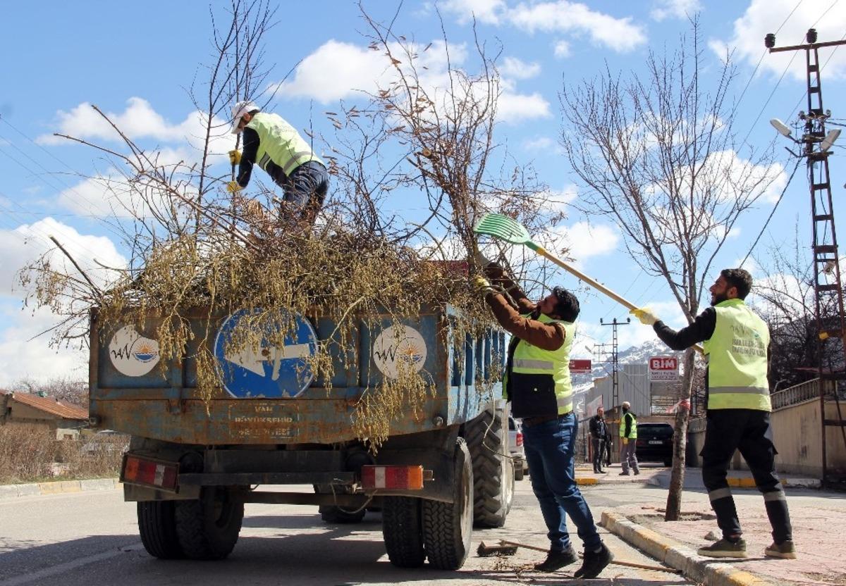 Van&rsquo;da mevsimsel budama &ccedil;alışması