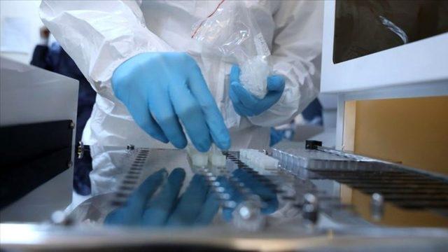 Koronavirüs hızlı tanı kitleri Muğla’da