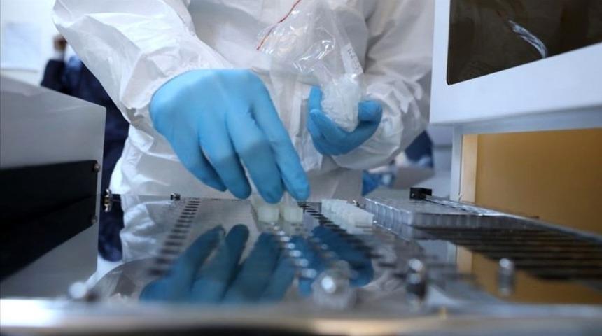 Koronavir&uuml;s hızlı tanı kitleri Muğla&rsquo;da