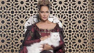 Bu poza Murat Bardakçı'dan itiraz