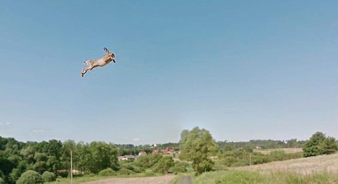 Polonya&rsquo;dan Google Street View&rsquo;e takılan ilgin&ccedil; fotoğraflar