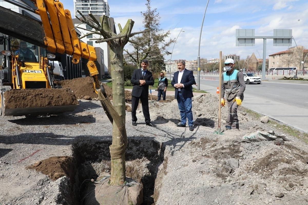 Tır tır geldi, tek tek dikildi