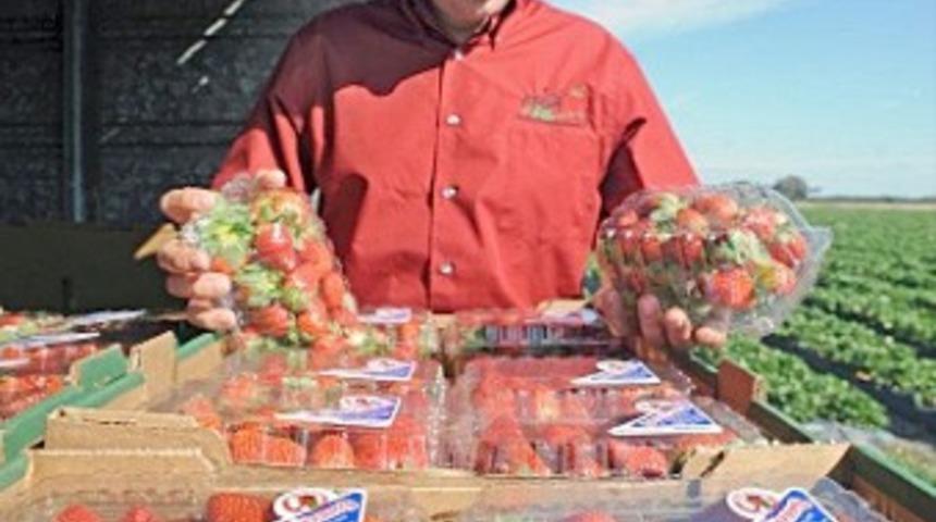 C vitamininin "efendisi" &ccedil;ilek