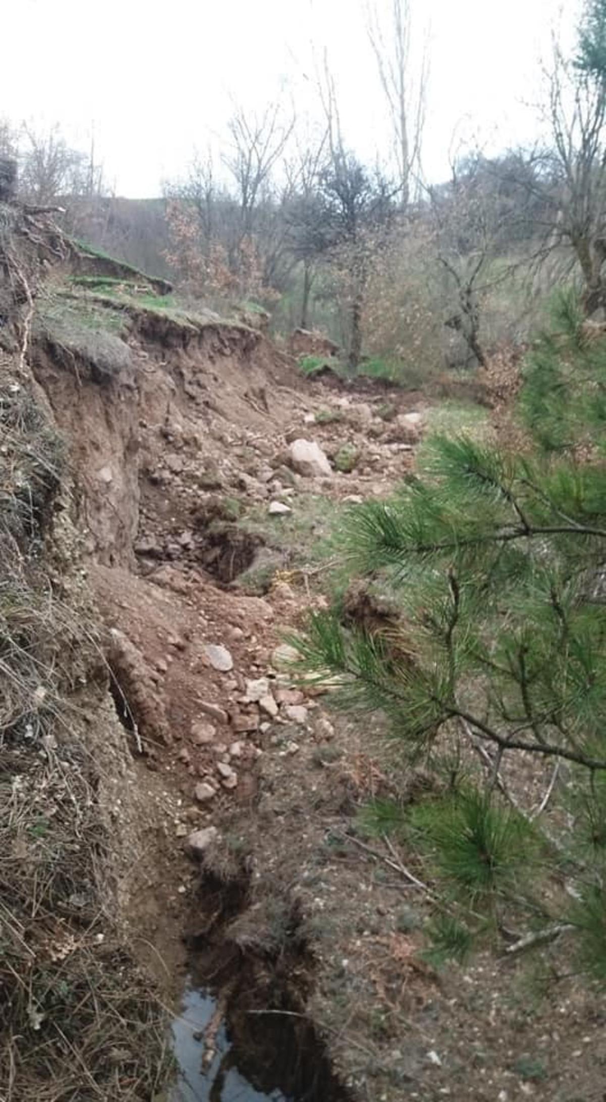 Bolu&rsquo;da, ormanlık alanda heyelan meydana geldi