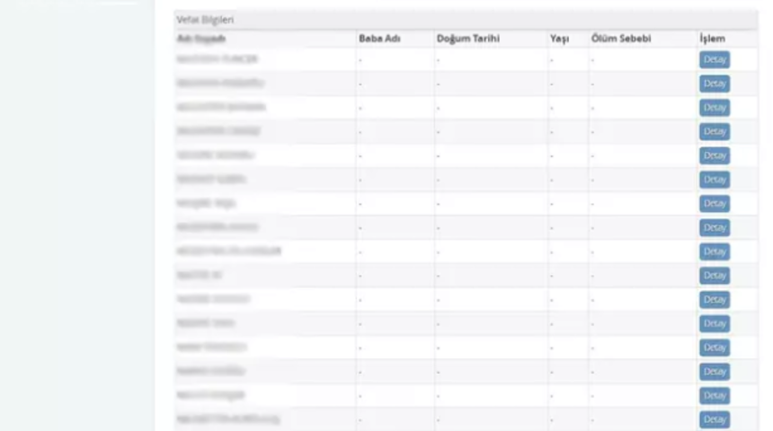 e-Devlet'teki vefat sorgulama ekranı yeniden a&ccedil;ıldı! Dikkat &ccedil;eken detay