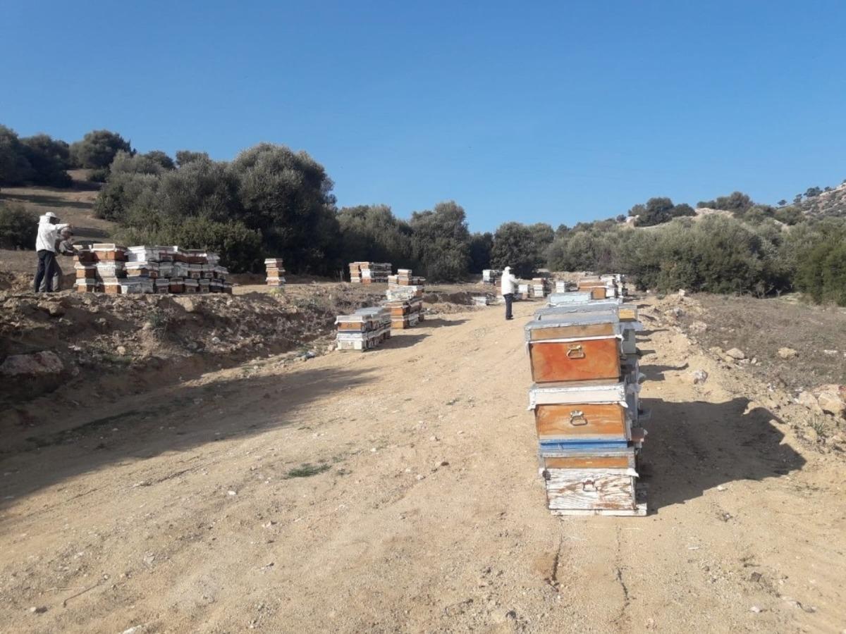 Aydın&rsquo;da yaşlı ve hasta &ccedil;ift&ccedil;iler, muhtarlıklara bilgi vererek faaliyetlerine devam edebilecek