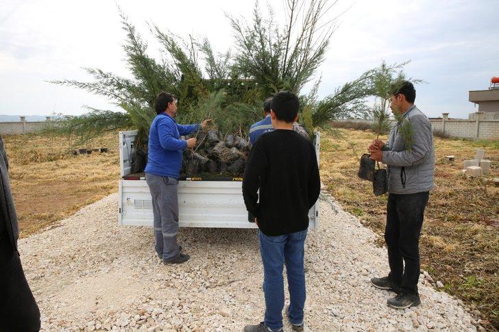 Haliliye’yi yeşillendirme çalışmaları G3
