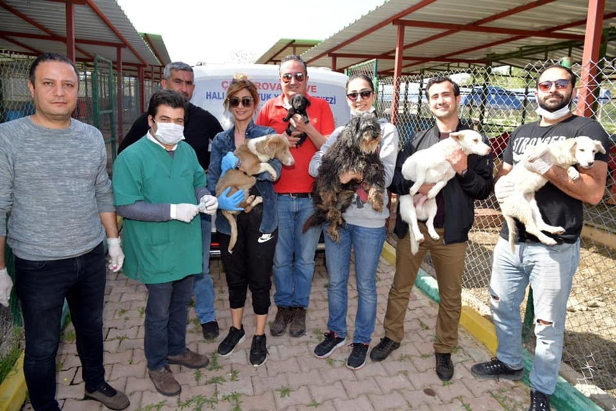 Kozan&rsquo;da birbirini yiyen k&ouml;peklere &Ccedil;ukurova sahip &ccedil;ıktı