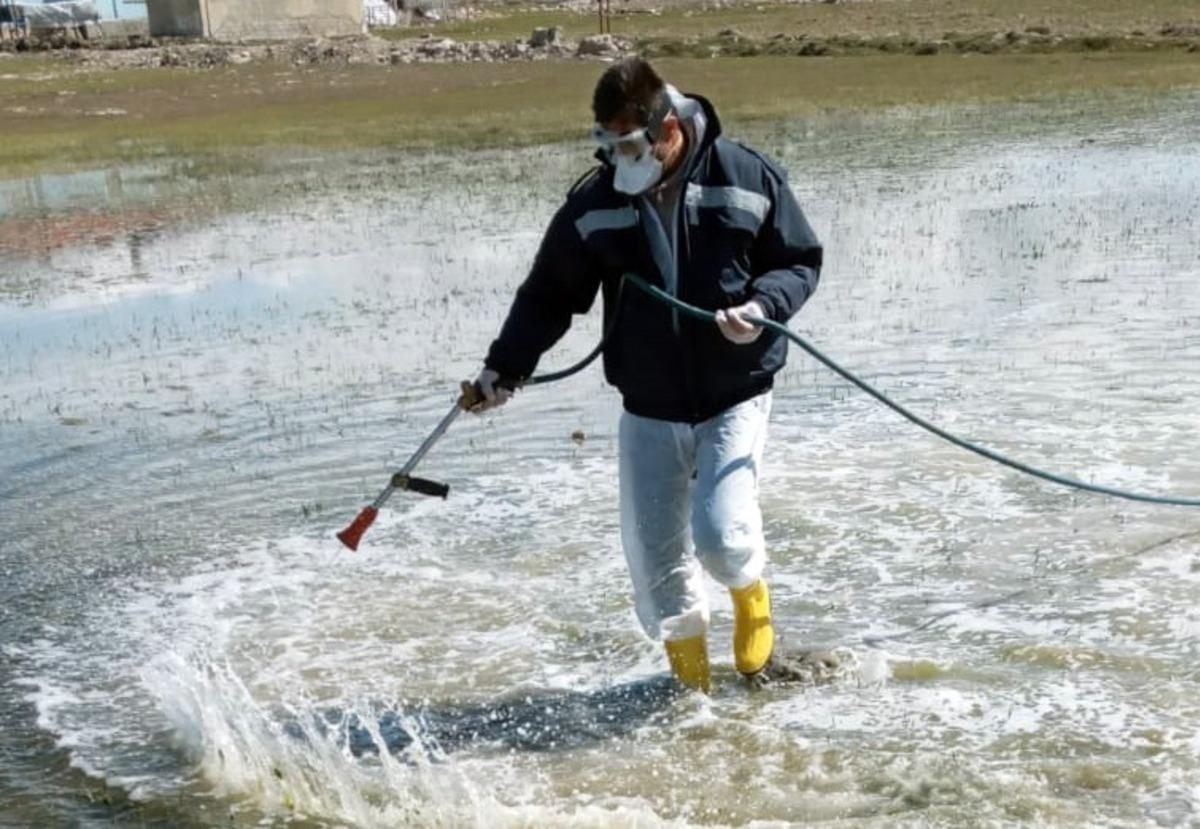 Van&rsquo;da vekt&ouml;rle m&uuml;cadele &ccedil;alışması