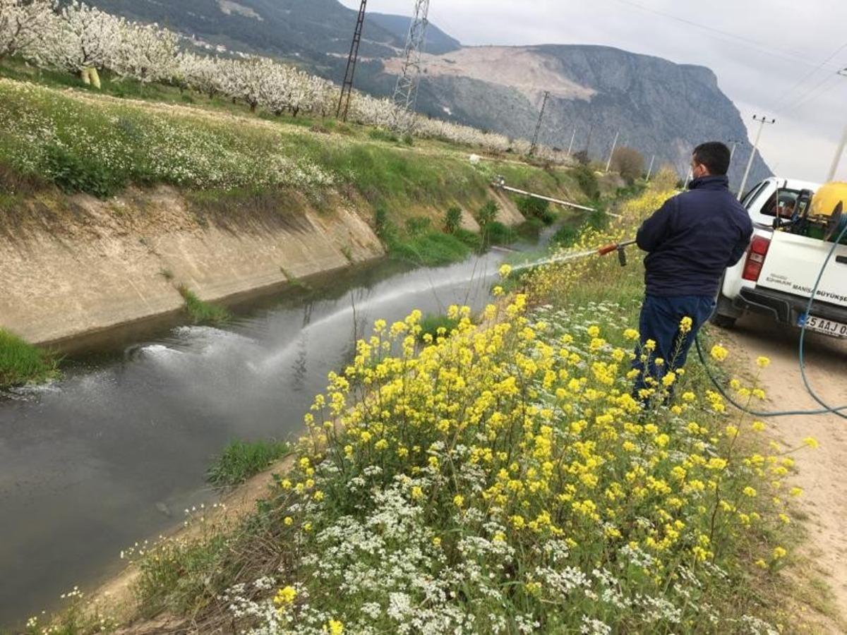 Bir yandan korona vir&uuml;sle bir yandan haşereyle m&uuml;cadele