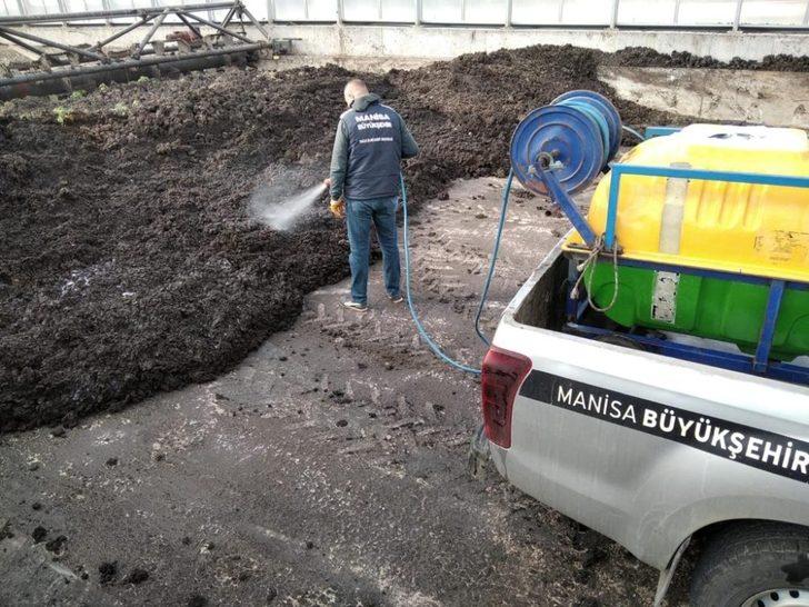 Bir yandan korona virüsle bir yandan haşereyle mücadele G2