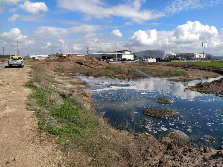 Bir yandan korona virüsle bir yandan haşereyle mücadele G3