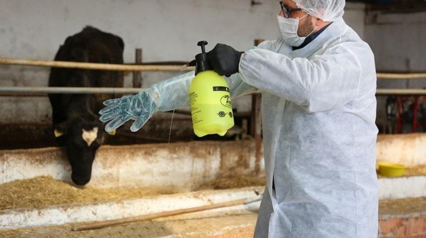 Saha çalışmalarında gerekli tedbirler alındı