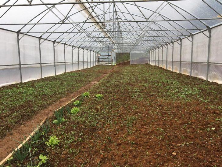 Ordu’da Büyükşehir’den üreticilere tam destek G2