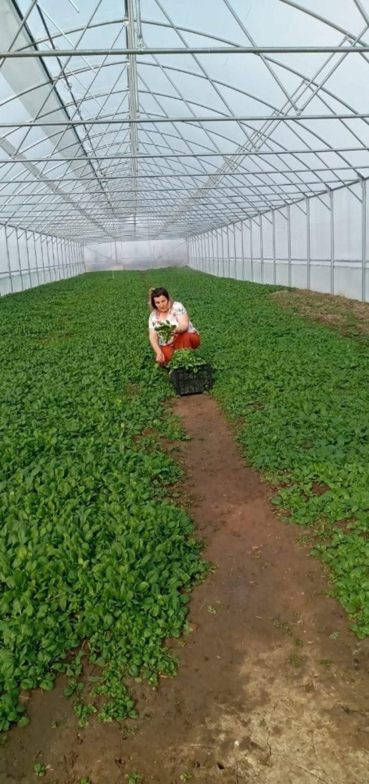 Ordu’da Büyükşehir’den üreticilere tam destek G4