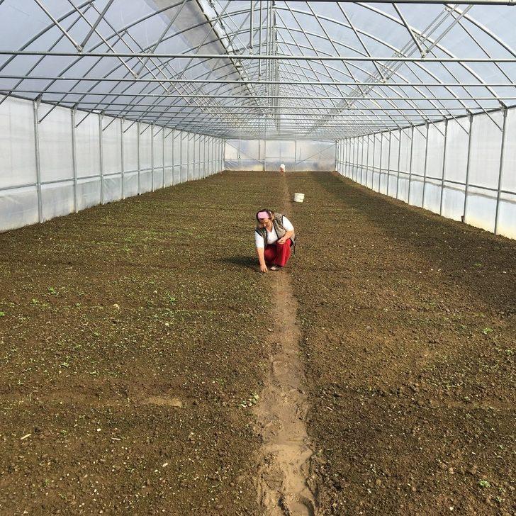 Ordu’da Büyükşehir’den üreticilere tam destek G5