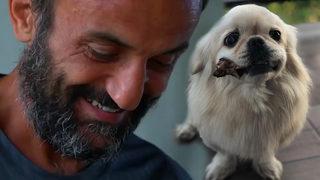 Survivor Ersin Korkut köpeğini sordu! Kardeşi kötü haberi söyleyemedi