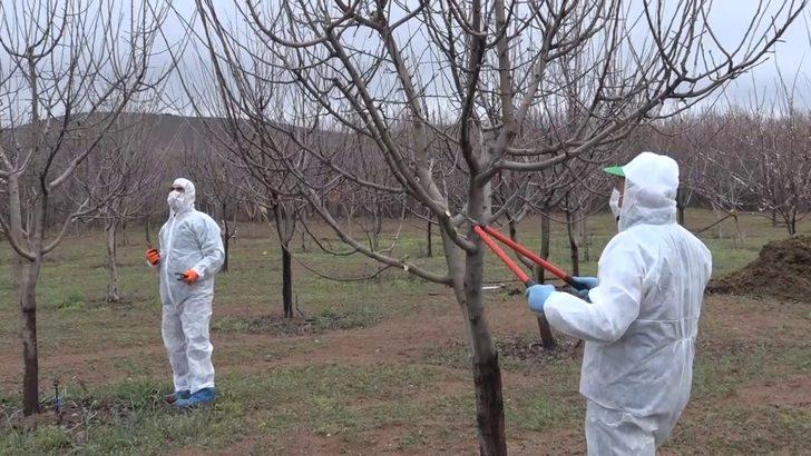 Elazığ’da yaşlıların "bahçe ve arılarının" bakımı yapıldı G1