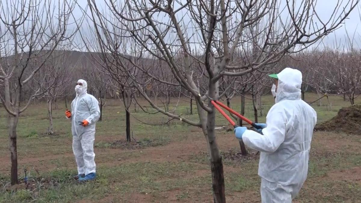 Elazığ&rsquo;da yaşlıların "bah&ccedil;e ve arılarının" bakımı yapıldı