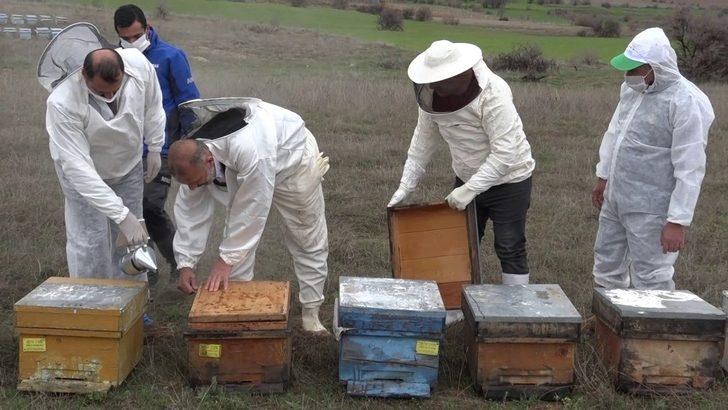 Elazığ’da yaşlıların "bahçe ve arılarının" bakımı yapıldı G2
