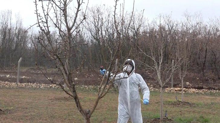 Elazığ’da yaşlıların "bahçe ve arılarının" bakımı yapıldı G3