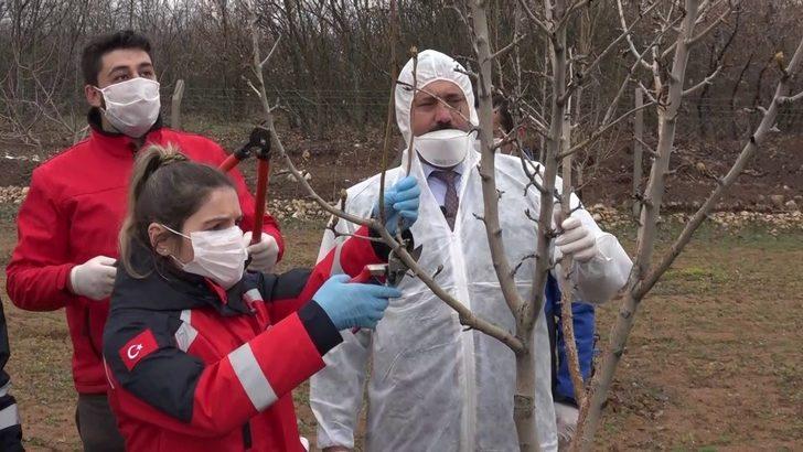 Elazığ’da yaşlıların "bahçe ve arılarının" bakımı yapıldı G4